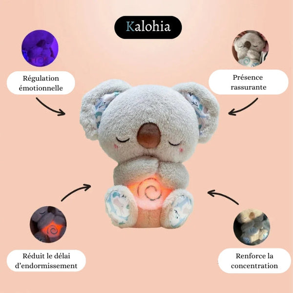 Koala Thérapeutique – Le compagnon de la régulation émotionnelle