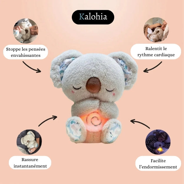 Koala Apaisant - Votre point d’ancrage contre l’anxiété nocturne