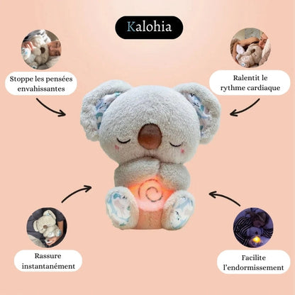 Koala Apaisant - Votre point d’ancrage contre l’anxiété nocturne