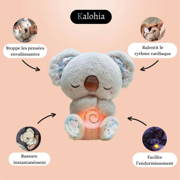 Koala Apaisant - Votre point d’ancrage contre l’anxiété nocturne
