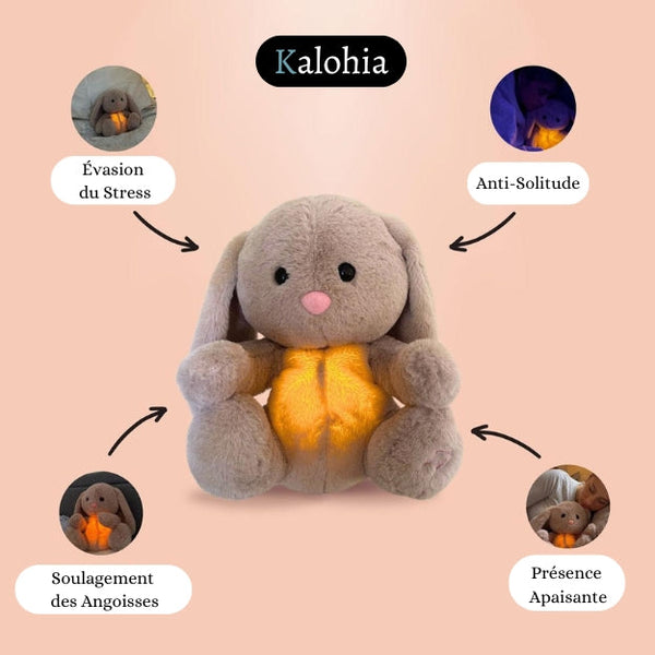 Lapin Apaisant – Votre point d’ancrage contre l’anxiété nocturne